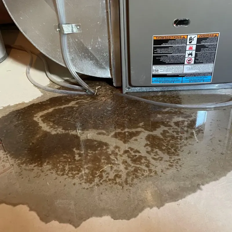 Pipe Burst and Leak Restoration in Towson, MD