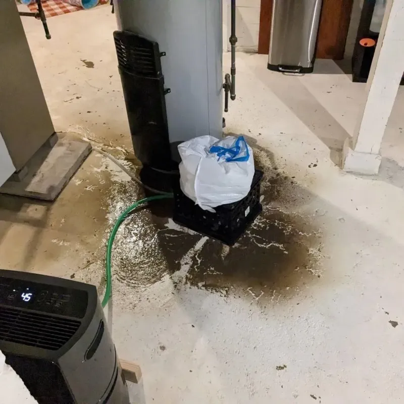 Sewage Backup Cleanup Service in Towson, MD
